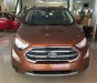 Ford EcoSport     2019 - Bán xe Ford EcoSport đời 2019, màu nâu