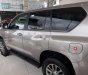 Toyota Land Cruiser 2019 - Cần bán xe Toyota Land Cruiser năm sản xuất 2019, nhập khẩu