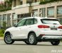 BMW X5 2019 - Bán BMW X5 đời 2019, màu trắng, nhập khẩu nguyên chiếc