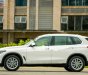 BMW X5 2019 - Bán BMW X5 đời 2019, màu trắng, nhập khẩu nguyên chiếc