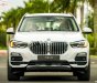 BMW X5 2019 - Bán BMW X5 đời 2019, màu trắng, nhập khẩu nguyên chiếc