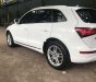 Audi Q5 2012 - Bán Audi Q5 sản xuất 2012, màu trắng, nhập khẩu nguyên chiếc