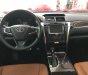 Toyota Camry 2019 - Bán Toyota Camry 2019, nhập khẩu, mới 100%