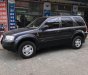 Ford Escape XLT 2002 - Chính chủ bán Ford Escape XLT sản xuất năm 2002, màu xám