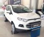 Ford EcoSport Trend 1.5L AT 2019 - Bán Ford EcoSport Trend 1.5L AT 2019 đủ màu giao ngay. Hỗ trợ vay tới 80%