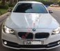 BMW 5 Series 2016 - Bán BMW 5 Series 520i năm 2016, màu trắng chính chủ