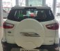 Ford EcoSport 2019 - Ecosport giảm giá kịch sàn, chỉ từ 545 triệu đồng, ưu đãi tặng nhiều phụ kiện
