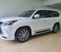 Lexus LX 570 2016 - Bán Lexus LX570 Trung đông sản xuất 2016, đăng ký T1/2019 siêu mới 99,999% 