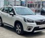Subaru Forester   2019 - Bán Subaru Forester sản xuất 2019, nhập khẩu, mới 100%