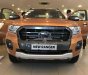 Ford Ranger   2019 - Bán Ford Ranger năm 2019, xe nhập, giá tốt