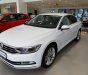 Volkswagen Passat 2019 - Sedan cho doanh nhân (nhập Đức) - Volkswagen Passat 2019 - ưu đãi lớn 2019