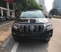 Toyota Prado VX 2019 - Bán ô tô Toyota Prado VX đời 2019, xe nhập