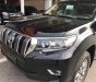 Toyota Prado VX 2019 - Bán ô tô Toyota Prado VX đời 2019, xe nhập