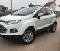 Ford EcoSport 2014 - Cần bán gấp Ford EcoSport 1.5AT sản xuất 2014, màu trắng số tự động