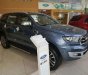 Ford Everest   2019 - Bán Ford Everest đời 2019, màu xanh lam, nhập khẩu