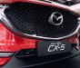 Mazda CX 5   2019 - Bán Mazda CX 5 năm sản xuất 2019, màu đỏ, xe nhập