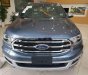 Ford Everest   2019 - Bán Ford Everest đời 2019, màu xanh lam, nhập khẩu