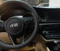 Kia Sedona 2019 - Cần bán xe Kia Sedona năm sản xuất 2019 chính chủ
