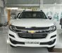 Chevrolet Colorado 2019 - Bán Chevrolet Colorado năm 2019, nhập khẩu, ưu đãi hấp dẫn