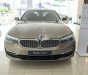 BMW 5 Series   2019 - Cần bán xe BMW 530i đời 2019, màu vàng, nhập khẩu