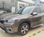 Subaru Forester   2019 - Bán xe Subaru Forester năm sản xuất 2019, màu nâu, nhập khẩu