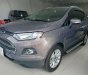 Ford EcoSport   2017 - Cần bán Ford EcoSport sản xuất 2017, màu nâu, ít sử dụng