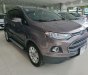 Ford EcoSport   2017 - Cần bán Ford EcoSport sản xuất 2017, màu nâu, ít sử dụng