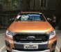 Ford Ranger    2019 - Bán Ford Ranger sản xuất 2019, nhập khẩu nguyên chiếc chính hãng