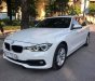 BMW 3 Series 2016 - Bán xe BMW 3 Series năm sản xuất 2016 xe nguyên bản