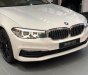 BMW 5 Series   2019 - Bán BMW 520i đời 2019, màu trắng, nhập khẩu