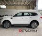 Ford Everest 2019 - Bán xe Ford Everest đời 2019, nhập khẩu nguyên chiếc chính hãng