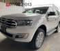 Ford Everest 2019 - Bán xe Ford Everest đời 2019, nhập khẩu nguyên chiếc chính hãng