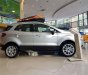 Ford EcoSport 2019 - Bán xe Ford EcoSport đời 2019, ưu đãi hấp dẫn