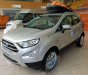 Ford EcoSport 2019 - Bán xe Ford EcoSport đời 2019, ưu đãi hấp dẫn