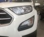 Ford EcoSport  Titanium  2019 - Bán Ford EcoSport Titanium 2019, tặng full phụ kiện kèm tiền mặt