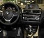 BMW 1 Series 2015 - Bán BMW 1 Series đời 2015, nhập khẩu chính chủ