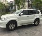 Toyota Prado 2005 - Cần bán gấp Toyota Prado 4.0 bản đặc biệt xuất Trung Đông 2005, nhập khẩu nguyên chiếc