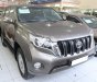 Toyota Prado TXL 2.7L 2015 - Bán ô tô Toyota Prado TXL 2.7L đời 2015, xe nhập đã đi 20793km