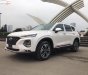 Hyundai Santa Fe 2019 - Cần bán Hyundai Santa Fe năm sản xuất 2019, hỗ trợ tốt