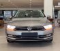 Volkswagen Passat 2017 - Xin giới thiệu, Passat Bluemotion 2017 nhập khẩu mới nguyên, rớt đời giá tốt