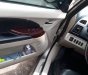 Mitsubishi Grandis 2009 - Cần bán gấp Mitsubishi Grandis 2009, nhập khẩu chính hãng