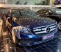 Mercedes-Benz E class 2018 - Bán Mercedes năm sản xuất 2018, màu xanh lam xe nguyên bản