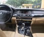 BMW 5 Series   2014 - Bán BMW 520i sản xuất 2014, màu trắng, nhập khẩu  