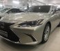 Lexus ES 250 2019 - Bán ô tô Lexus ES 250 năm 2019, màu vàng, nhập khẩu