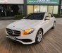 Mercedes-Benz E class E250 2017 - Cần bán gấp Mercedes E250 sản xuất 2017, màu trắng