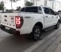 Ford Ranger 2017 - Bán xe Ford Ranger Wildtrak 3.2 sản xuất năm 2017, màu trắng, nhập khẩu, giá chỉ 780 triệu