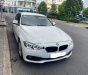 BMW 3 Series 320i 2016 - Bán BMW 3 Series 320i năm 2016, màu trắng, nhập khẩu