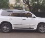 Lexus LX 2013 - Bán Lexus LX năm sản xuất 2013, màu trắng, xe nhập chính hãng