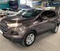 Ford EcoSport   2017 - Bán Ford EcoSport Trend 1.5L MT sản xuất 2017, màu nâu, số sàn  