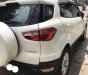 Ford EcoSport 2016 - Cần bán gấp Ford EcoSport năm sản xuất 2016, màu trắng, nhập khẩu chính hãng